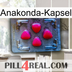 Anaconda Capsule 13